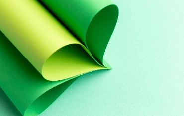 페놀 프리 감열지