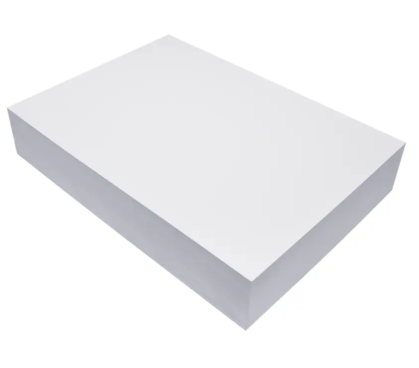 모든 크기 복사 용지