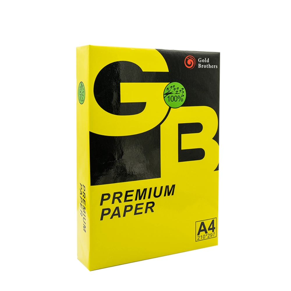 A4 비즈니스 복사 용지